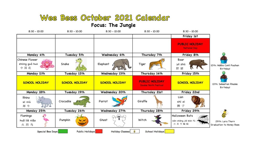 Wee Bees October 2021 – The Jungle