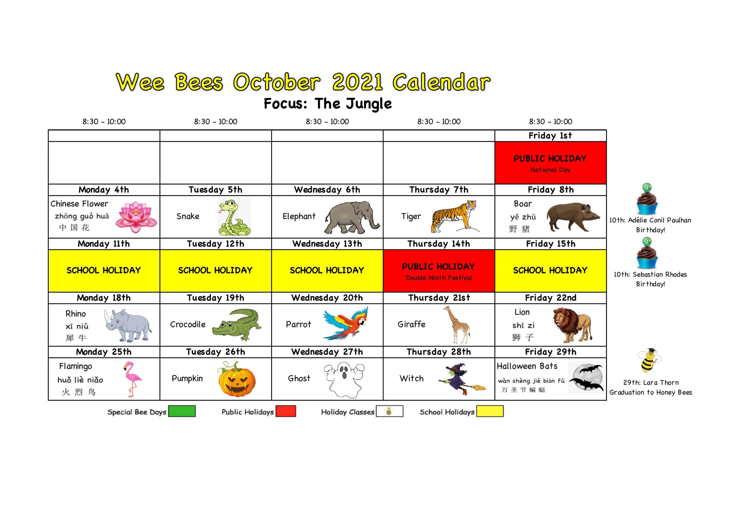 Wee Bees October 2021 – The Jungle