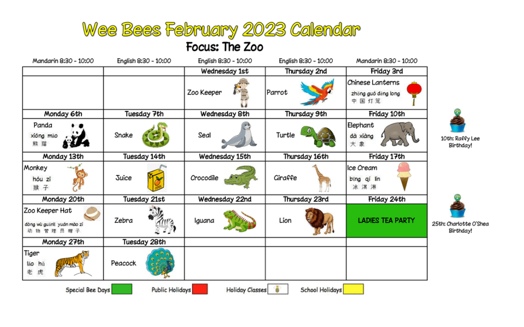 Wee Bees February 2023 – The Zoo